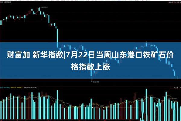 财富加 新华指数|7月22日当周山东港口铁矿石价格指数上涨
