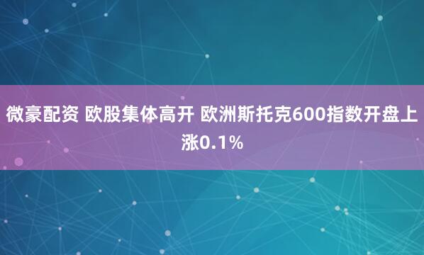 微豪配资 欧股集体高开 欧洲斯托克600指数开盘上涨0.1%