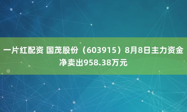 一片红配资 国茂股份（603915）8月8日主力资金净卖出958.38万元