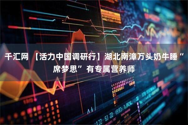 千汇网 【活力中国调研行】湖北南漳万头奶牛睡“席梦思” 有专属营养师