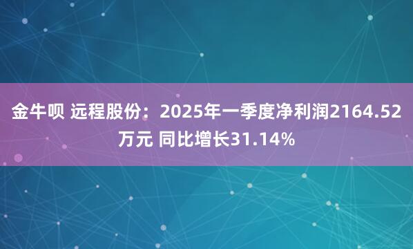 金牛呗 远程股份：2025年一季度净利润2164.52万元 同比增长31.14%