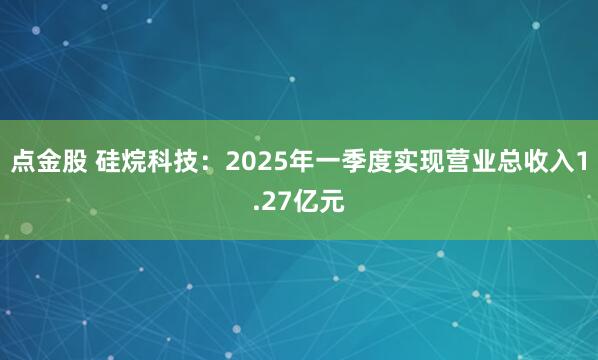 点金股 硅烷科技：2025年一季度实现营业总收入1.27亿元